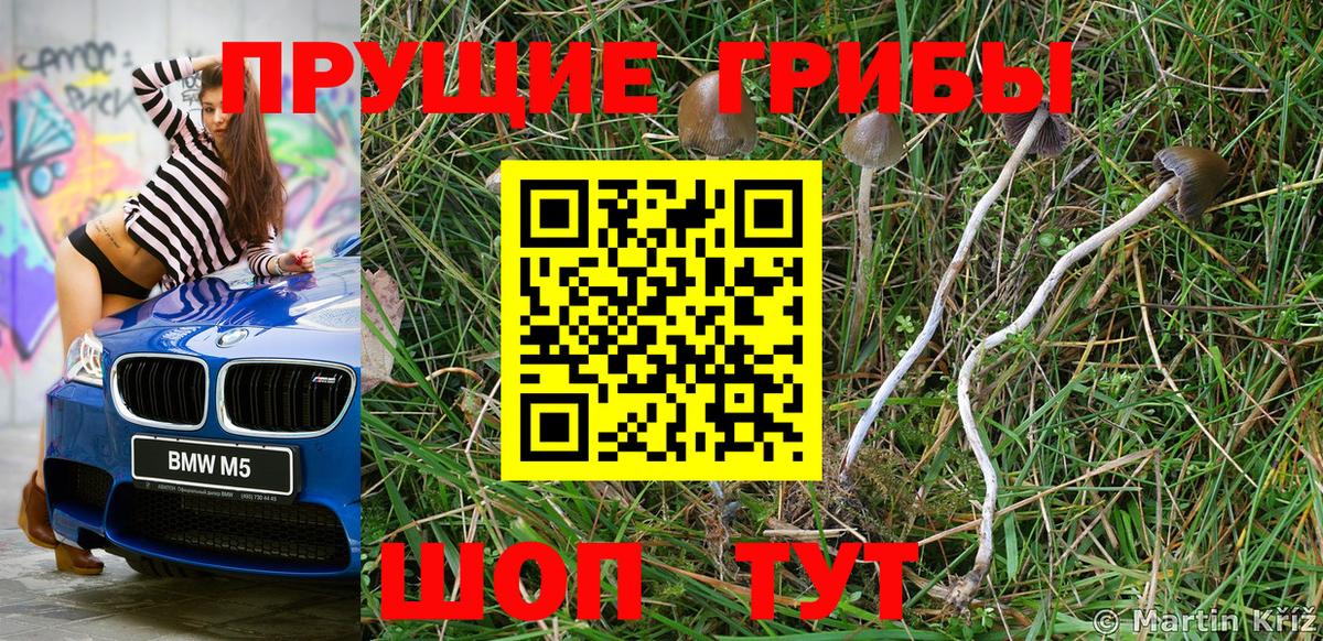 Галлюциногенные грибы Magic Shrooms Пушкино