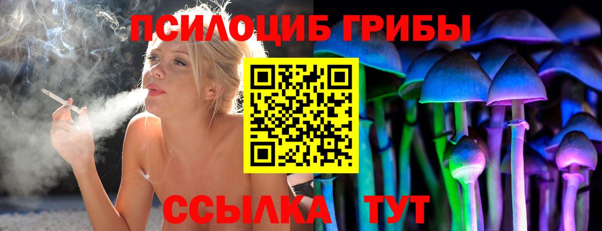 Пушкино  Псилоцибиновые грибы Cubensis  Вход с VPN 